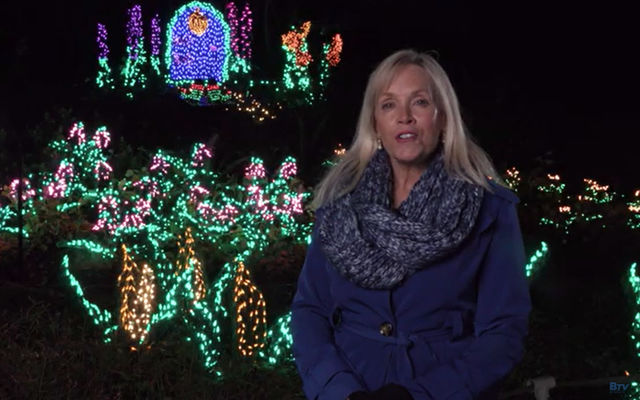 Lake to Lake host Robin Steel discusses Garden d'Lights.