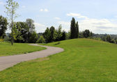 Surrey Downs Park