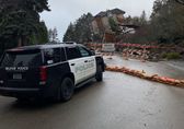 Bellevue police car near area of landslide