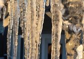 icicles