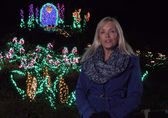 Lake to Lake host Robin Steel discusses Garden d'Lights.