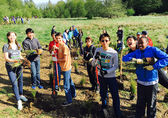 Arbor-Day-ED-2016.jpg Arbor-Day-ED-2016.jpg
