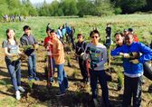 ArborDay-ED_2017.jpg